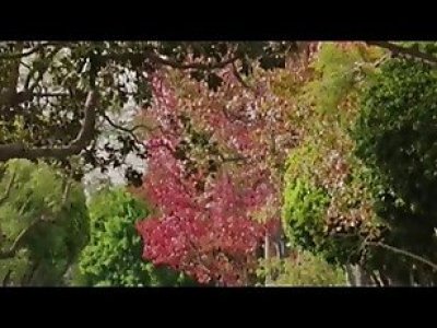 Married couple seduces babysitterkxmg